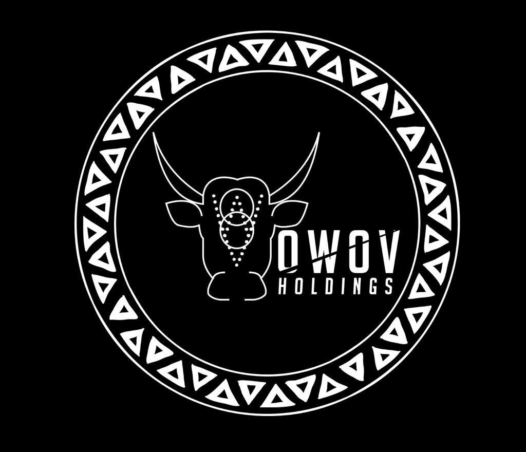 OWOV HOLDINGS NEW LOGO copy
