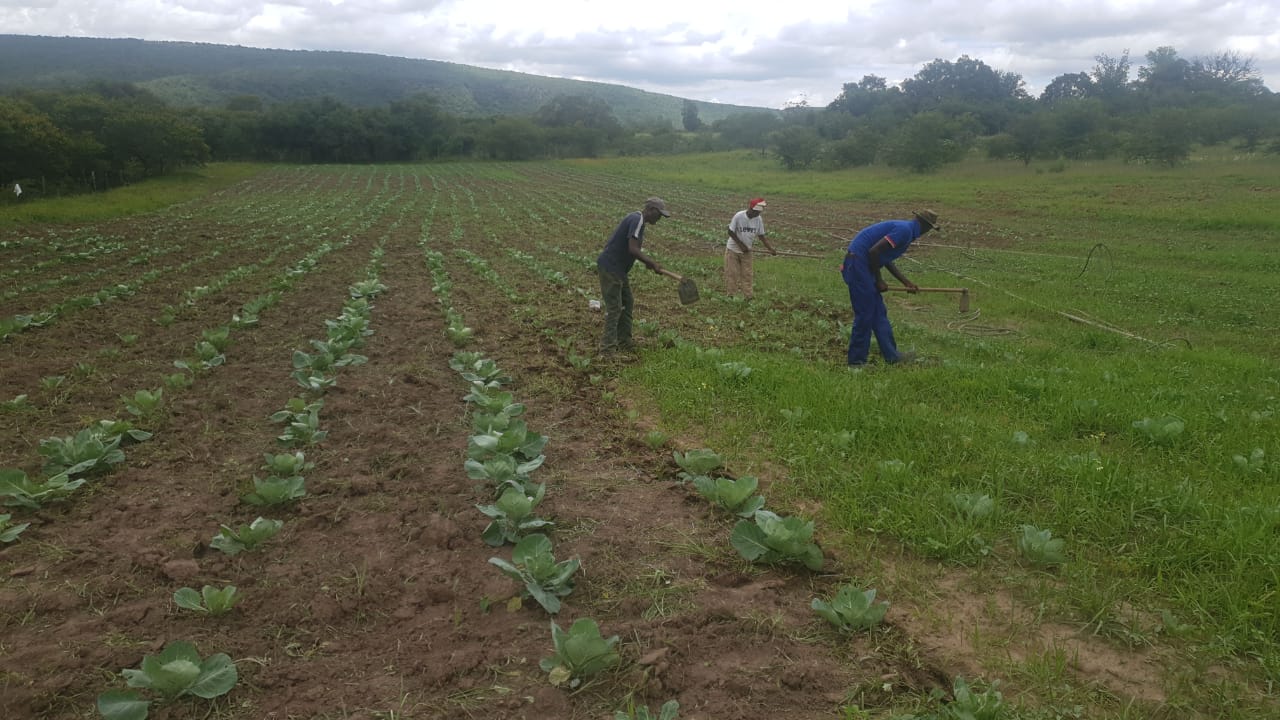 WhatsApp Image 2021-01-05 at 12.24.49