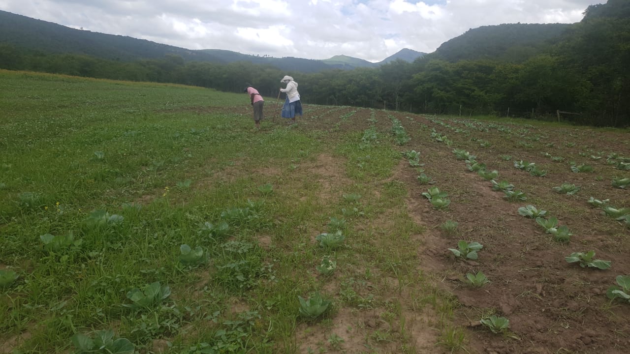 WhatsApp Image 2021-01-05 at 12.24.53