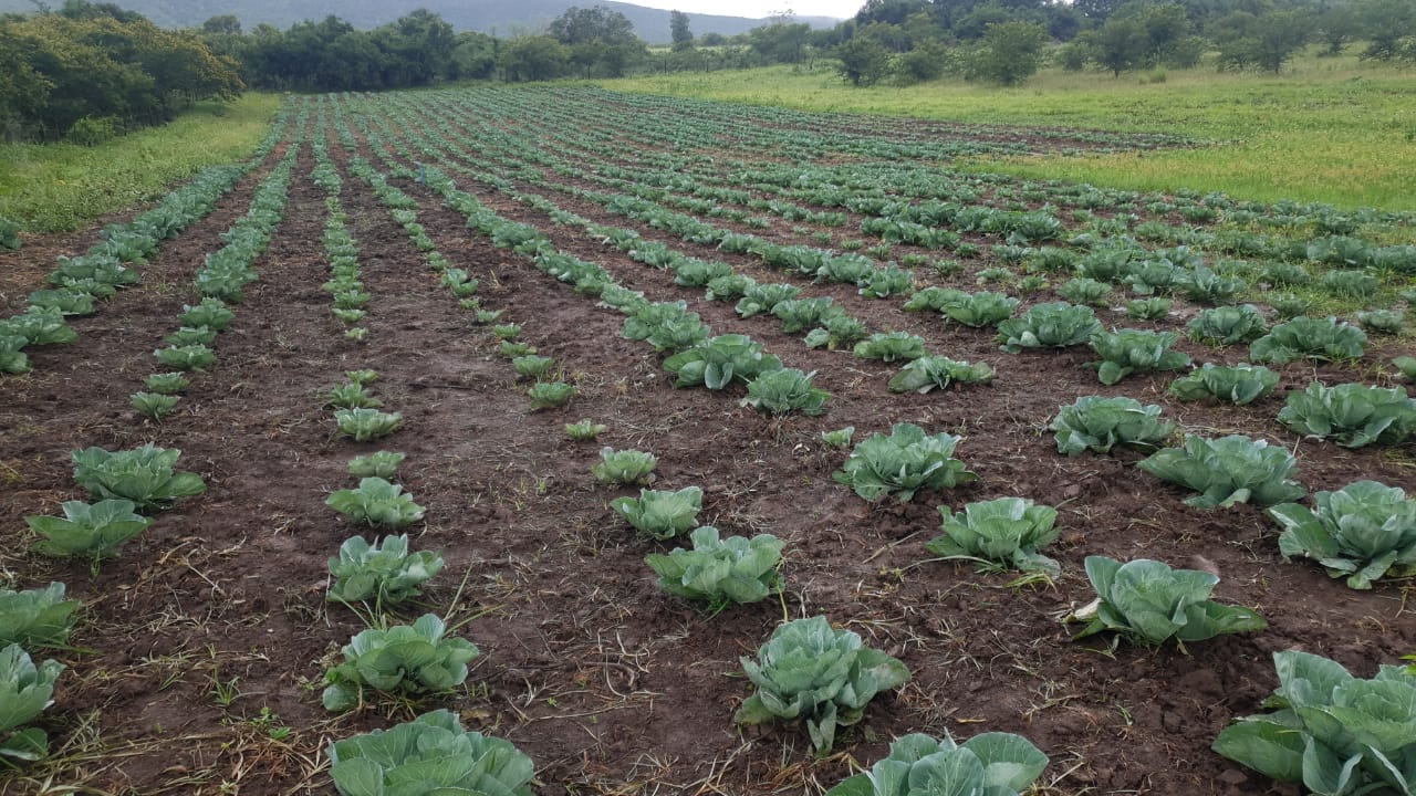 WhatsApp Image 2021-01-24 at 12.30.48