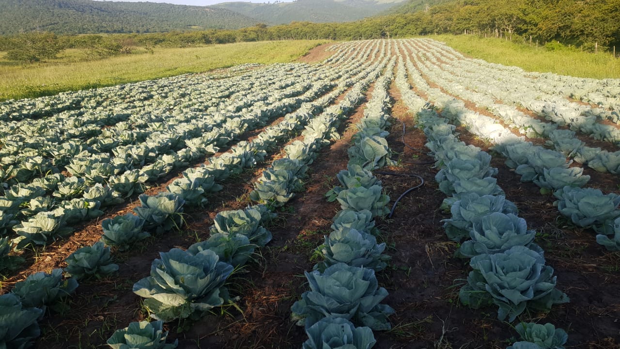 WhatsApp Image 2021-02-14 at 07.11.49