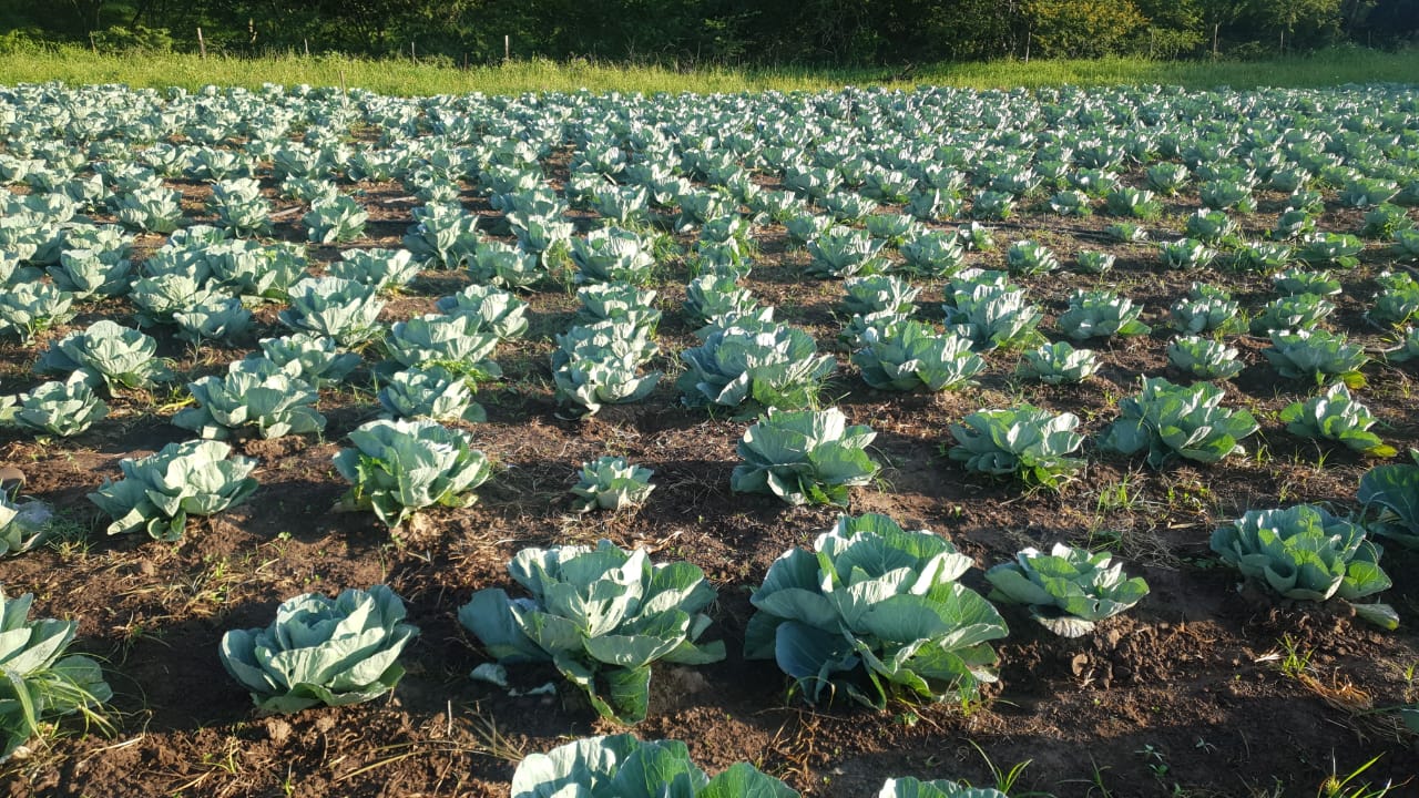 WhatsApp Image 2021-02-14 at 07.11.50