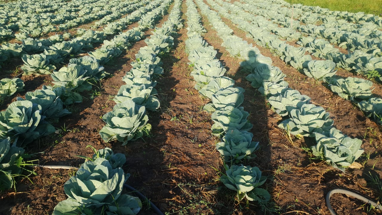 WhatsApp Image 2021-02-14 at 07.11.52